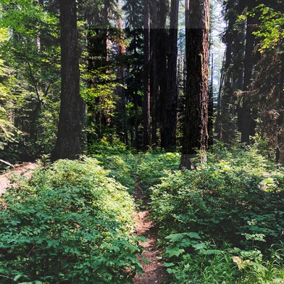 On Discovering a&nbsp;Grave