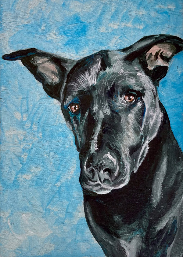 Commissioned painting of a black pit bull.