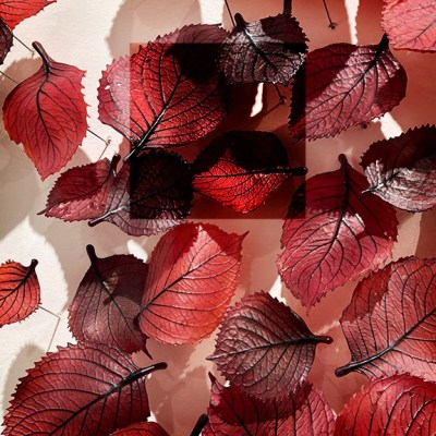 Sorryoholics Anonymous