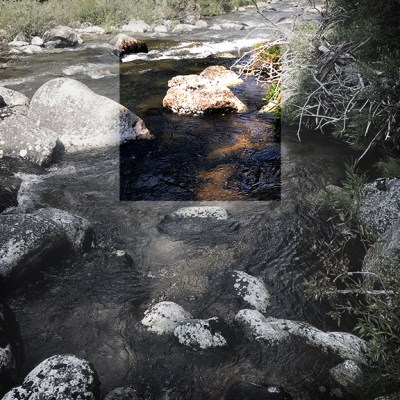 Not Yours for Truth&nbsp;Seeking