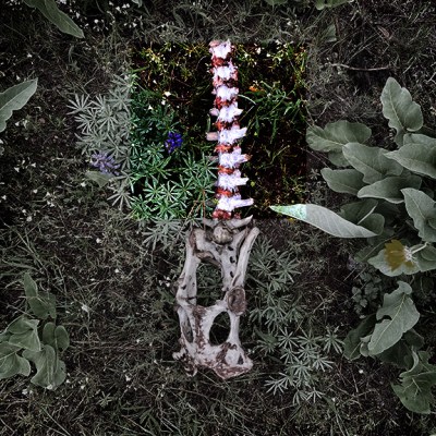 Yesterday I Worried About&nbsp;Money