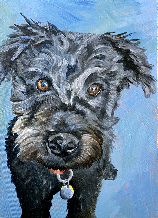 Commissioned painting of a dog with a curly fur and tags hanging down from collar. 